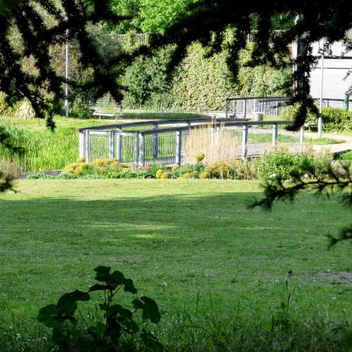 20160524_Tower-Hamlets_Mile-End-Park_View-of-Ecology-Park