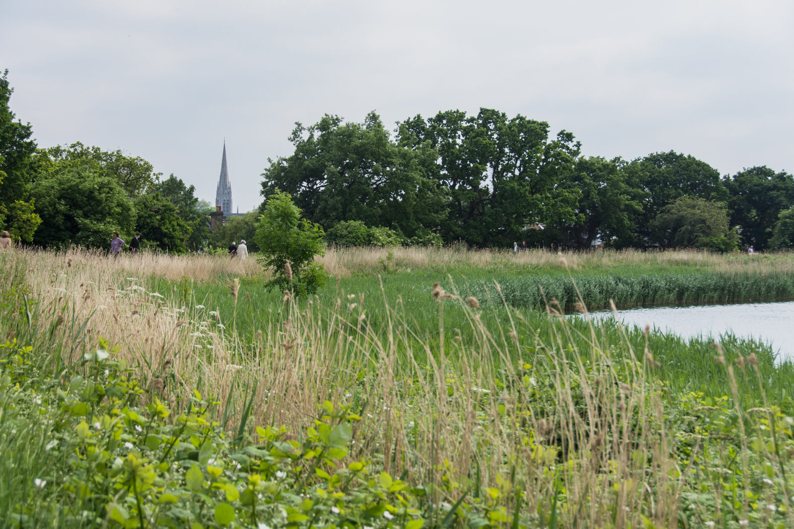 20160529_Hackney_Woodberry-Wetlands_east-resevoir-3