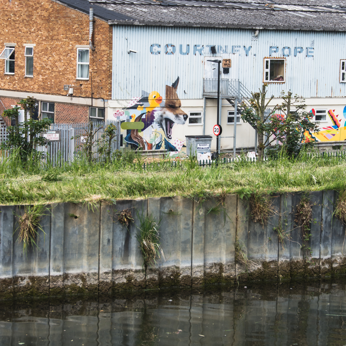 20160529_Haringey_Harringay_New-River-3