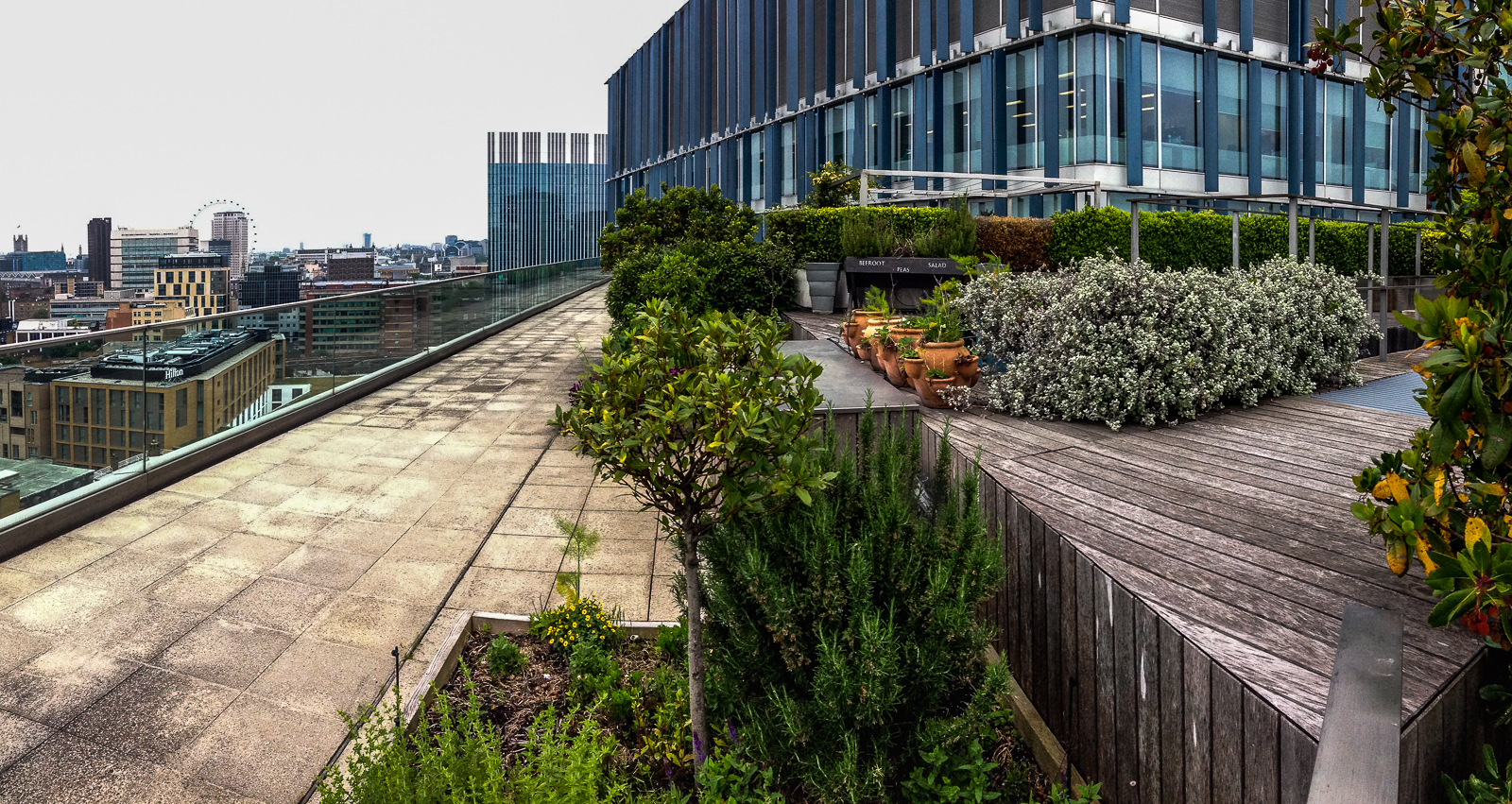 20160603_Southwark_Blue-Fin-Building_Vegetable-Garden
