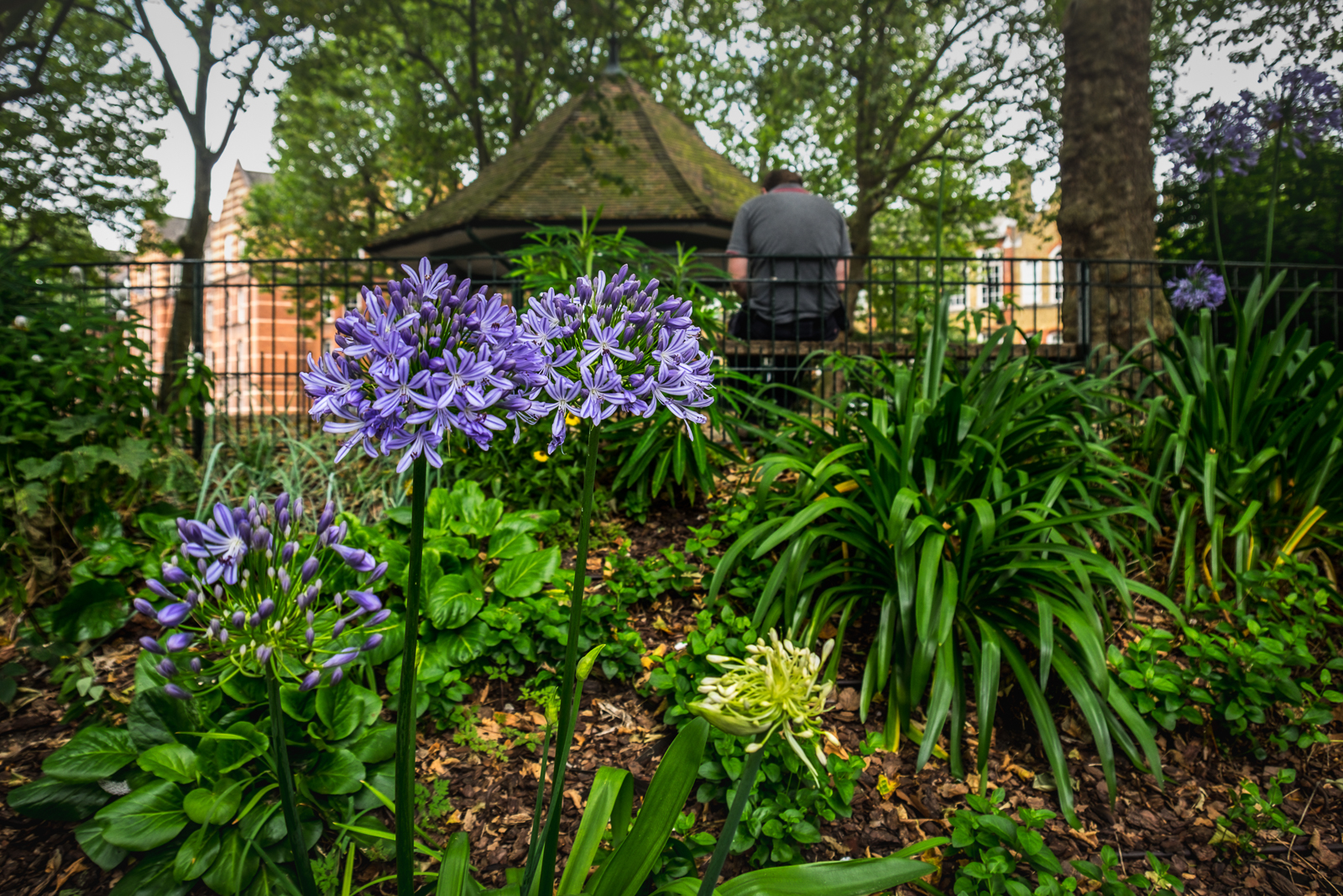 20160726_Tower-Hamlets_Arnold-Circus_Peace-Quiet