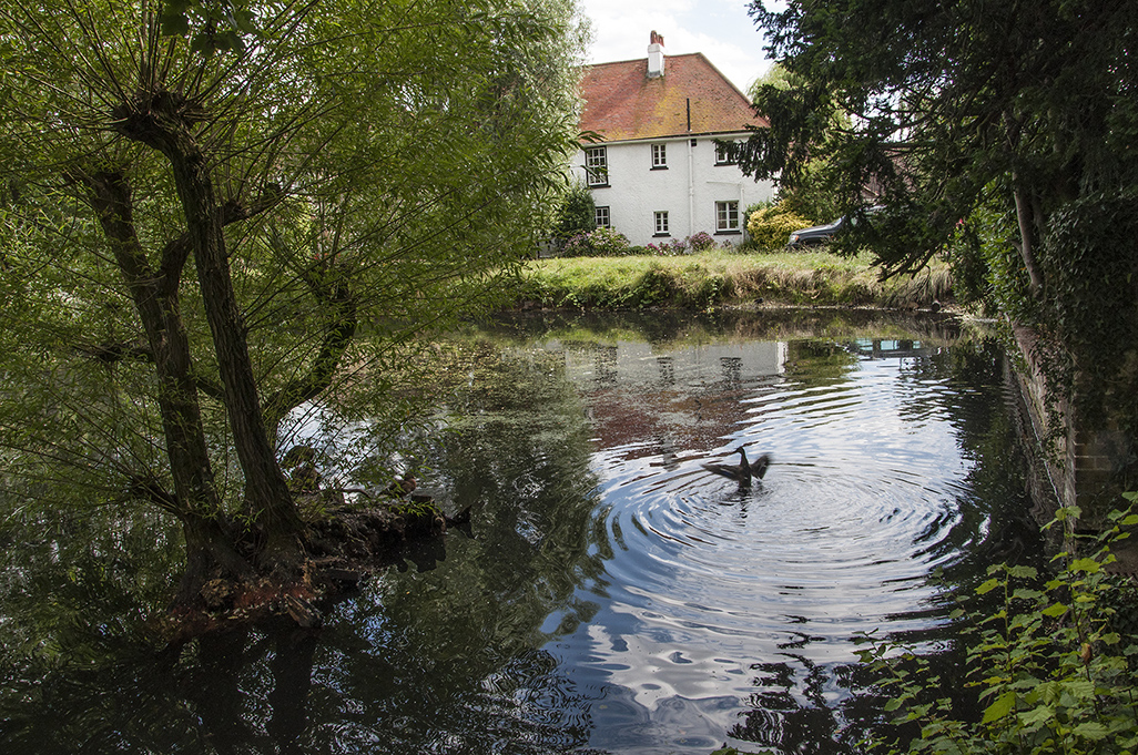 20160805_Barnet_-Darland-Nature-Reserve_-Ornamental-Lake