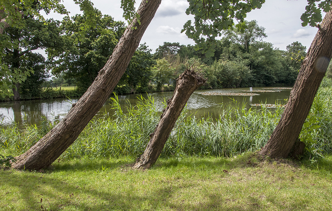 20160805_Barnet_-Totteridge-Common_Fishing-pond