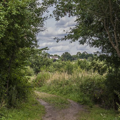 20160805_Barnet_Footpath_-Approaching-Darland-Nature-reserve-from-the-south