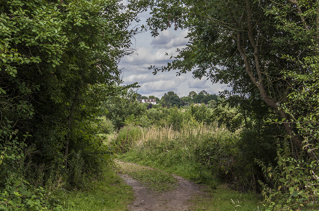 20160805_Barnet_Footpath_-Approaching-Darland-Nature-reserve-from-the-south