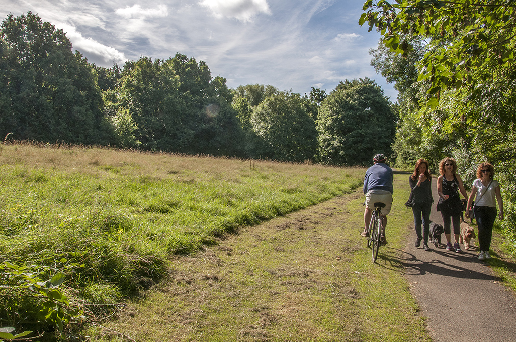 20160805_Barnet_Totteridge-Dollis-Brook_-Riverside-Walk