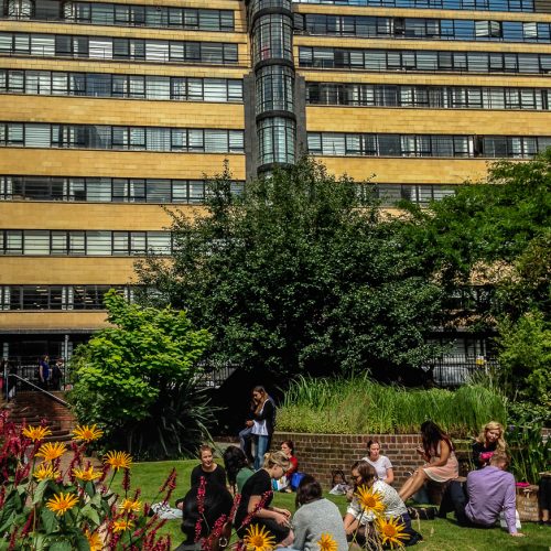 20160809_City-of-London_Potsoken-Street-Garden_Blooming-Sunny
