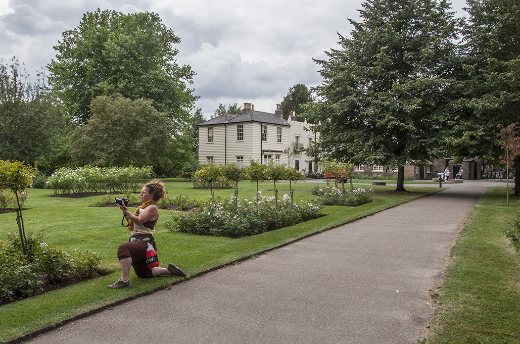 20160810_Merton_Morden-Hall-Park-_Rose-Garden