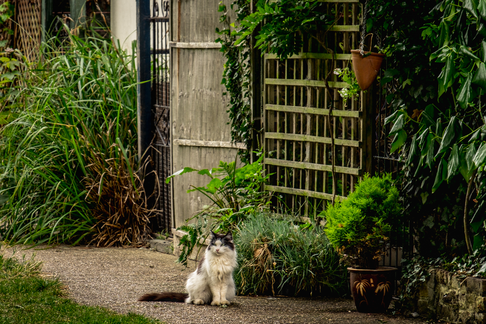 20160810_Merton_Ravensbury-Park_Waiting