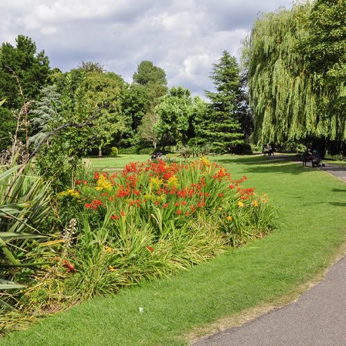 20160810_Sutton_Beddington-Park-_The-Grange-gardens