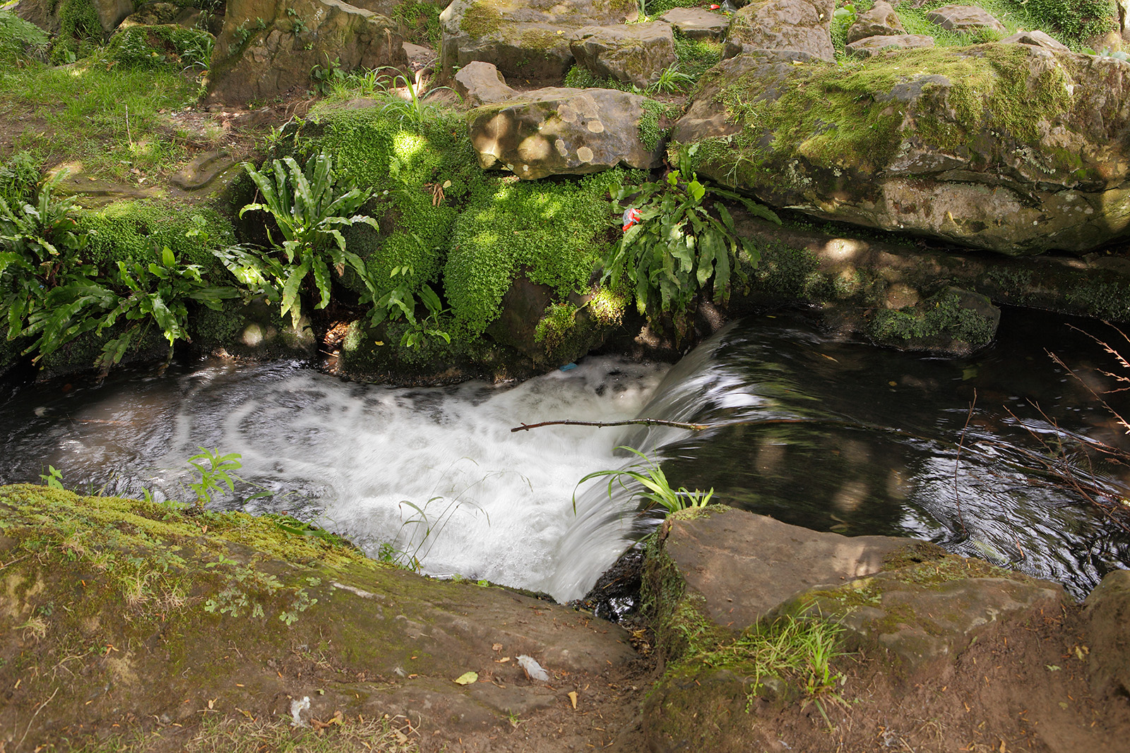 20160810_Sutton_Beddington-Park_White-water