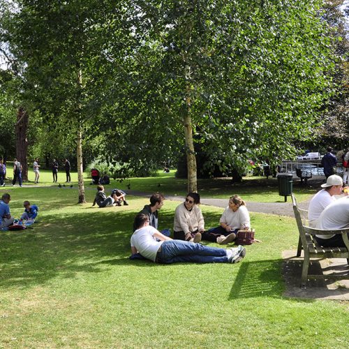 20160810_Sutton_The-Grove_Lazing-the-afternoon