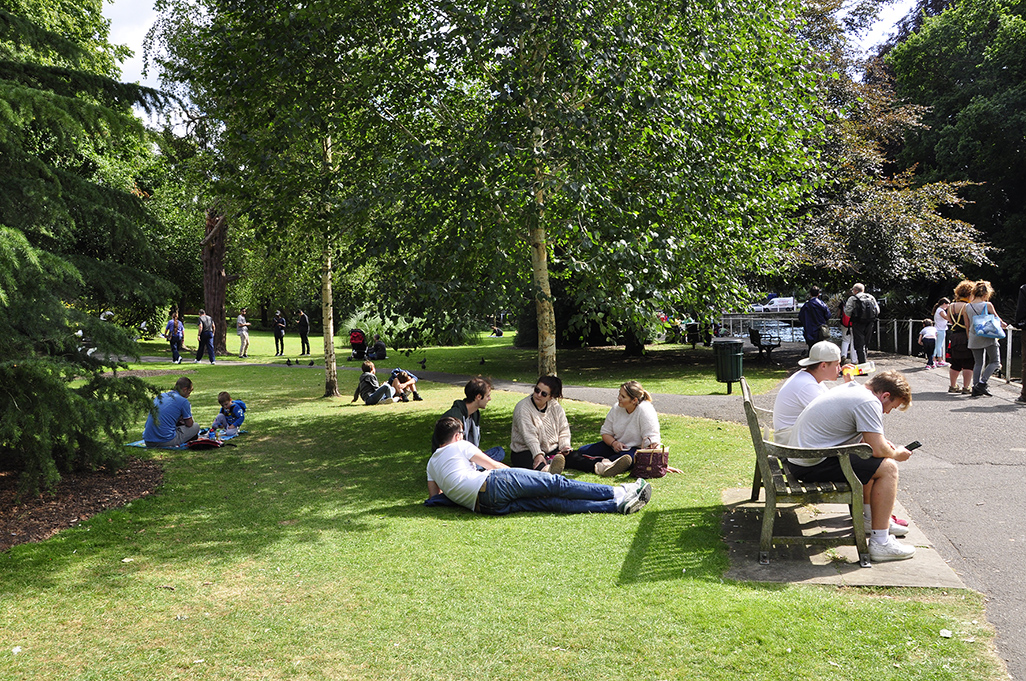 20160810_Sutton_The-Grove_Lazing-the-afternoon