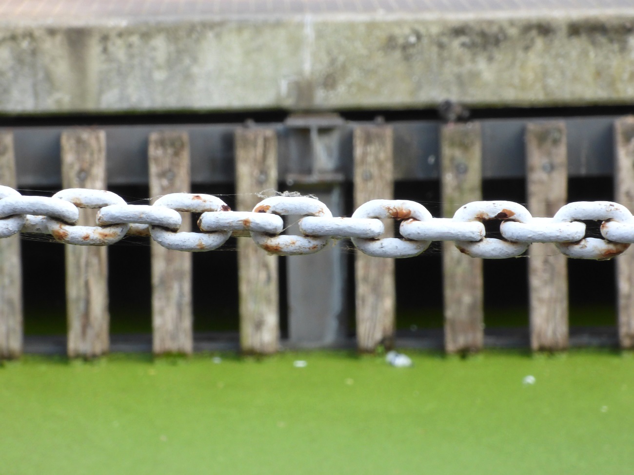 20160816_Tower-Hamlets_Limehouse-Basin_Chained