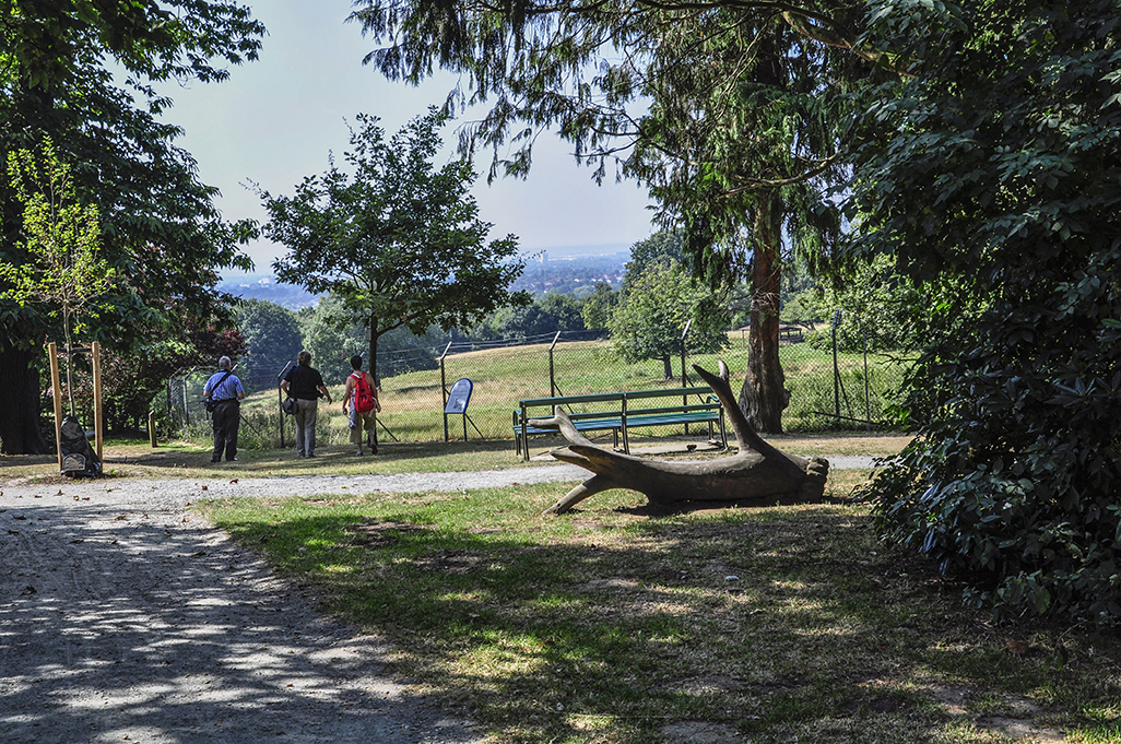 20160817_Havering_-Bedfords-Park_Admiring-a-view-from-the-Bedfords-Park