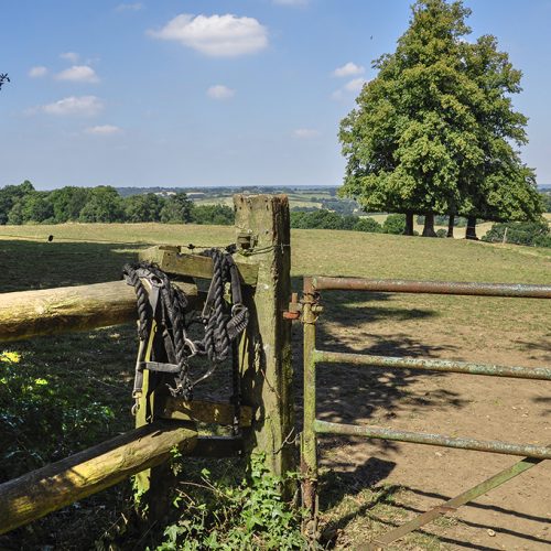 20160817_Havering_Havering-Country-Park_-View-of-the-north