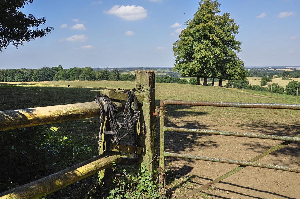 20160817_Havering_Havering-Country-Park_-View-of-the-north