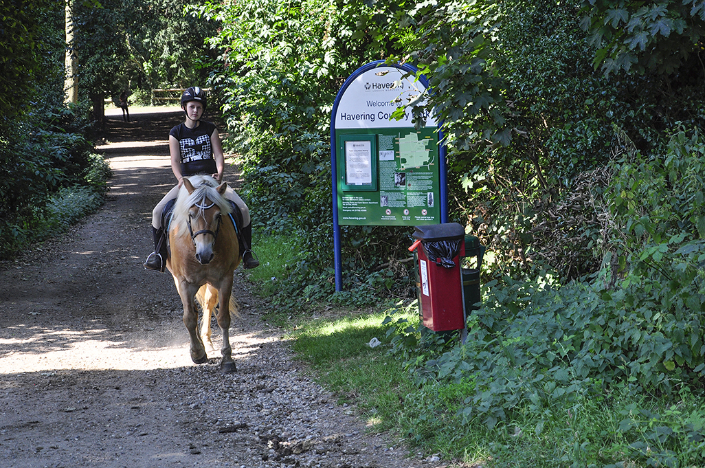 20160817_Havering_Havering-Country-Park_Young-rider