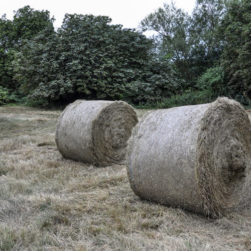 20160824_Barnet_Brook-Farm-Open-Space-_Bales-of-hay
