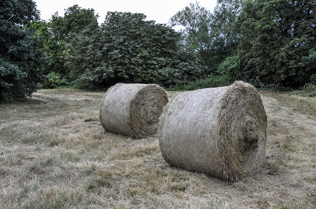 20160824_Barnet_Brook-Farm-Open-Space-_Bales-of-hay
