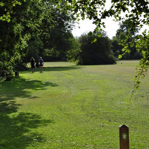 20160824_Barnet_Duck-Island_Recreation-ground