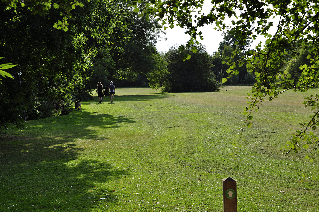 20160824_Barnet_Duck-Island_Recreation-ground