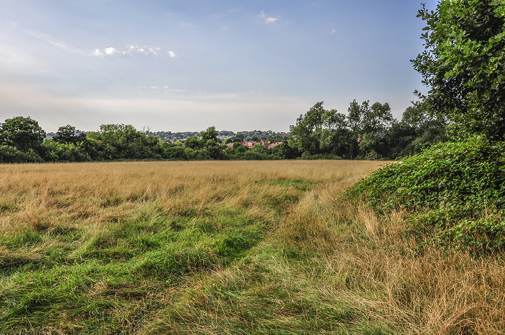 20160824_Barnet_Grange-Avenue-Open-Space_Grassland