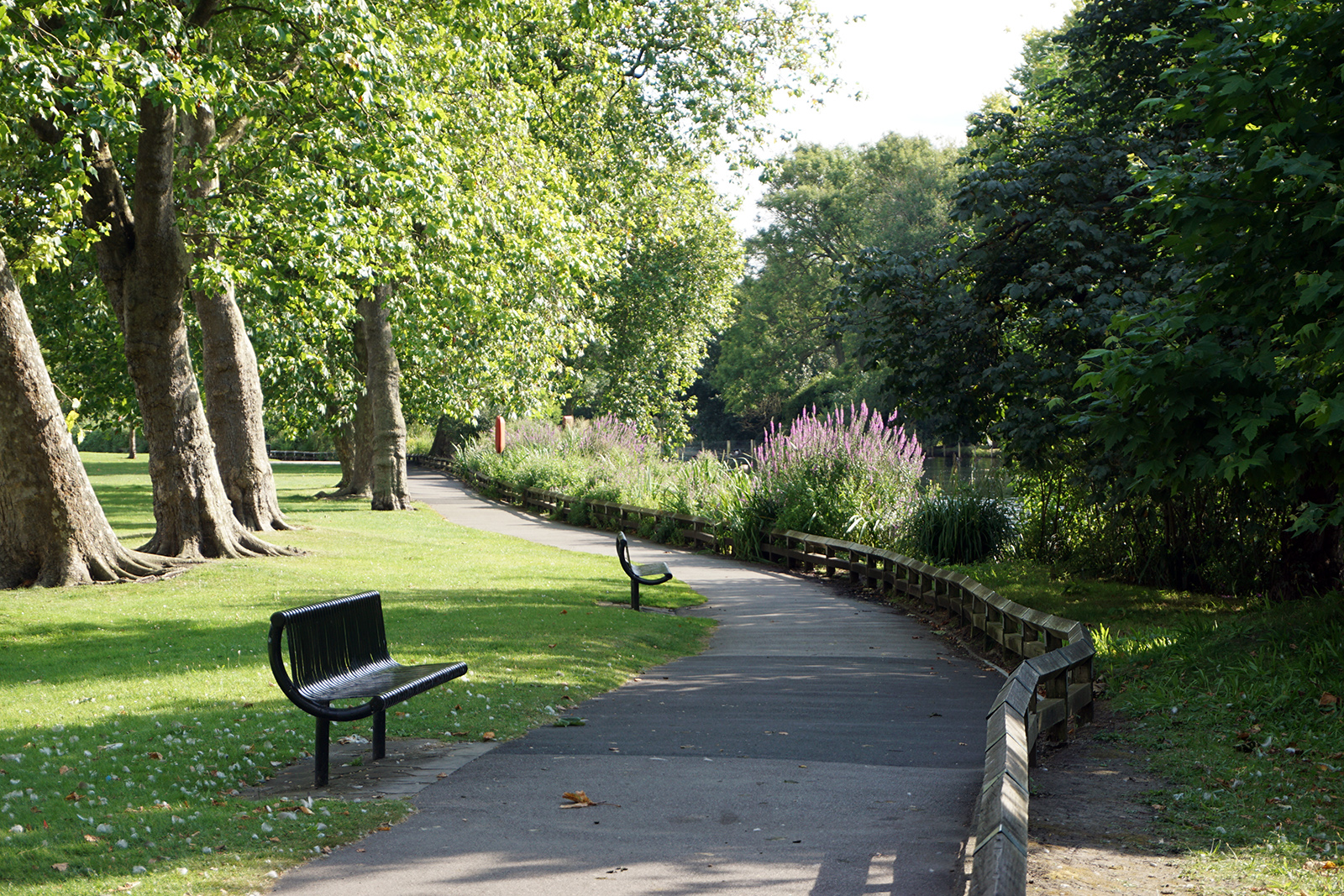 20165-08-10-Sutton_Waddon-Ponds_Summer_Landscape