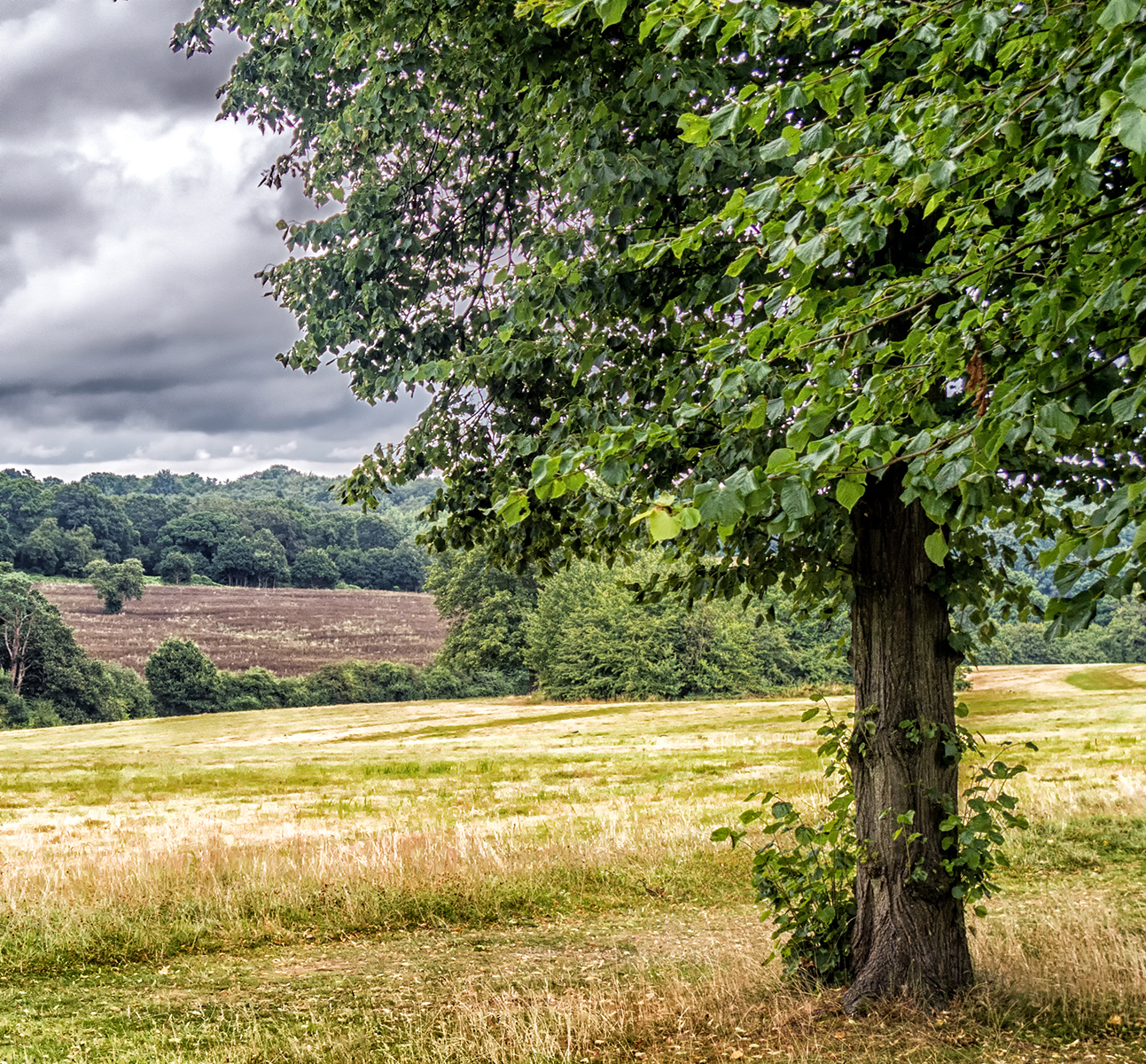 9292viewAcross-GreenBelt