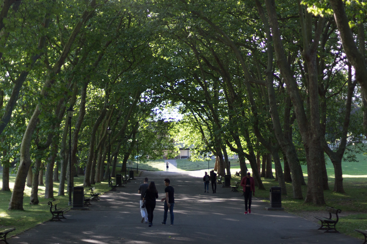 Crystal Palace Park Boulevard