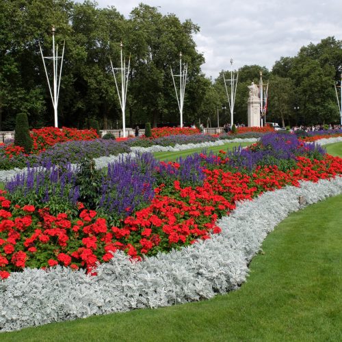 Gardens-Buckingham-Palace-flora