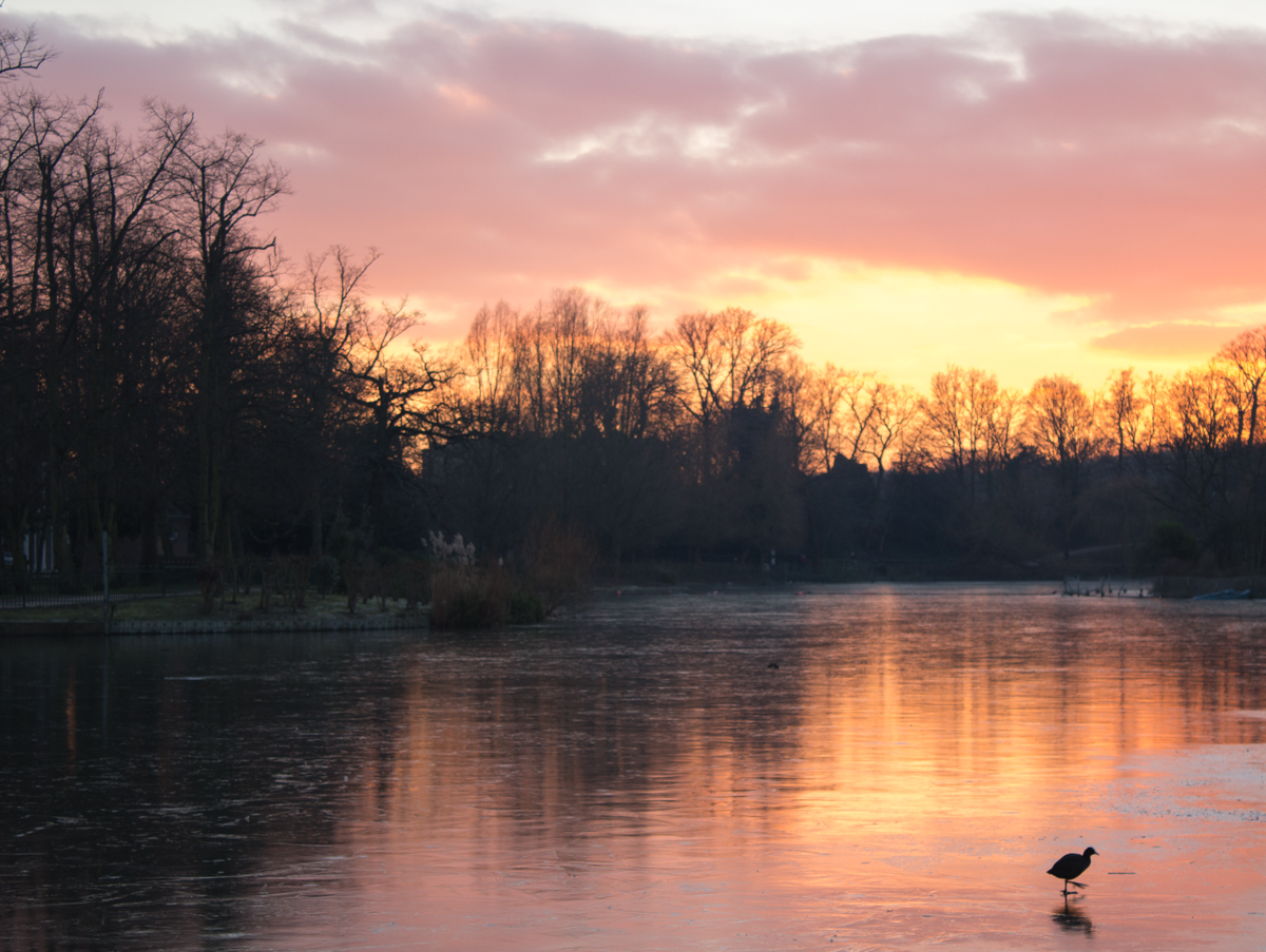 Sunset on Ice