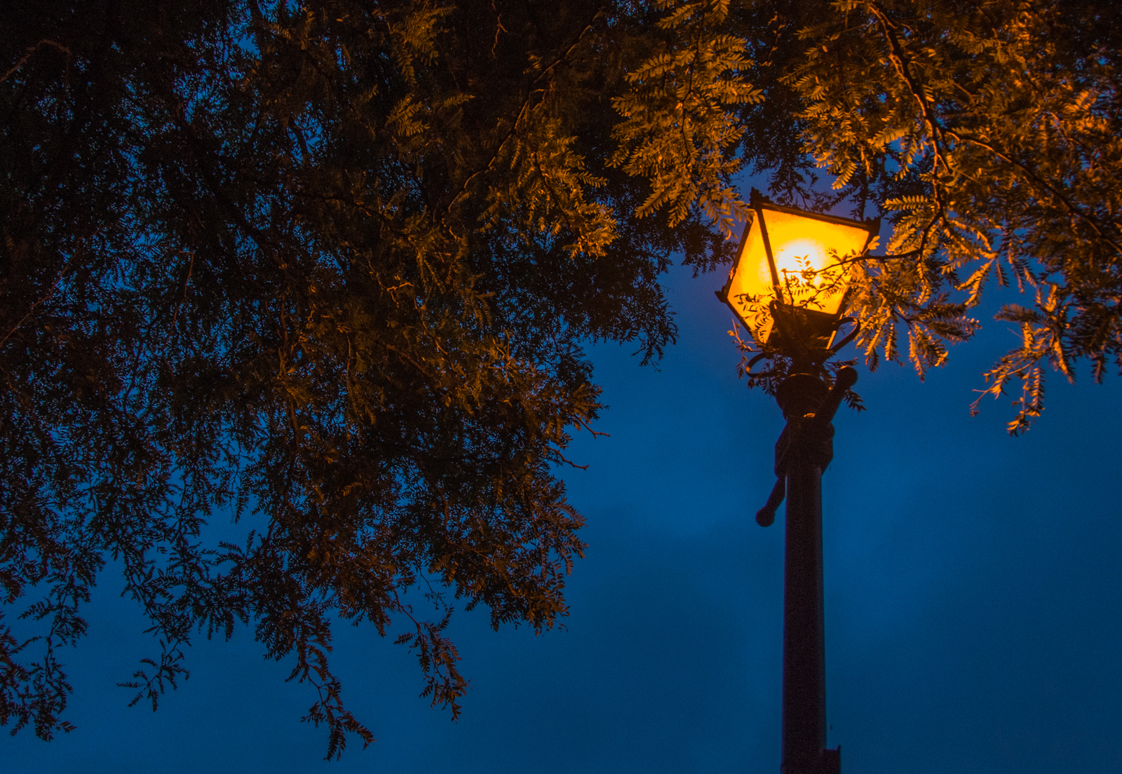 20160802_Haringey_AlexandraPark_nightfall