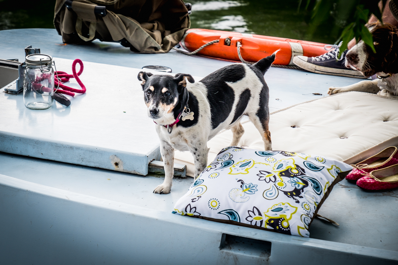 20160831_Richmond-Upon-Thames_Hampton-Court_Four-Sea-Legs