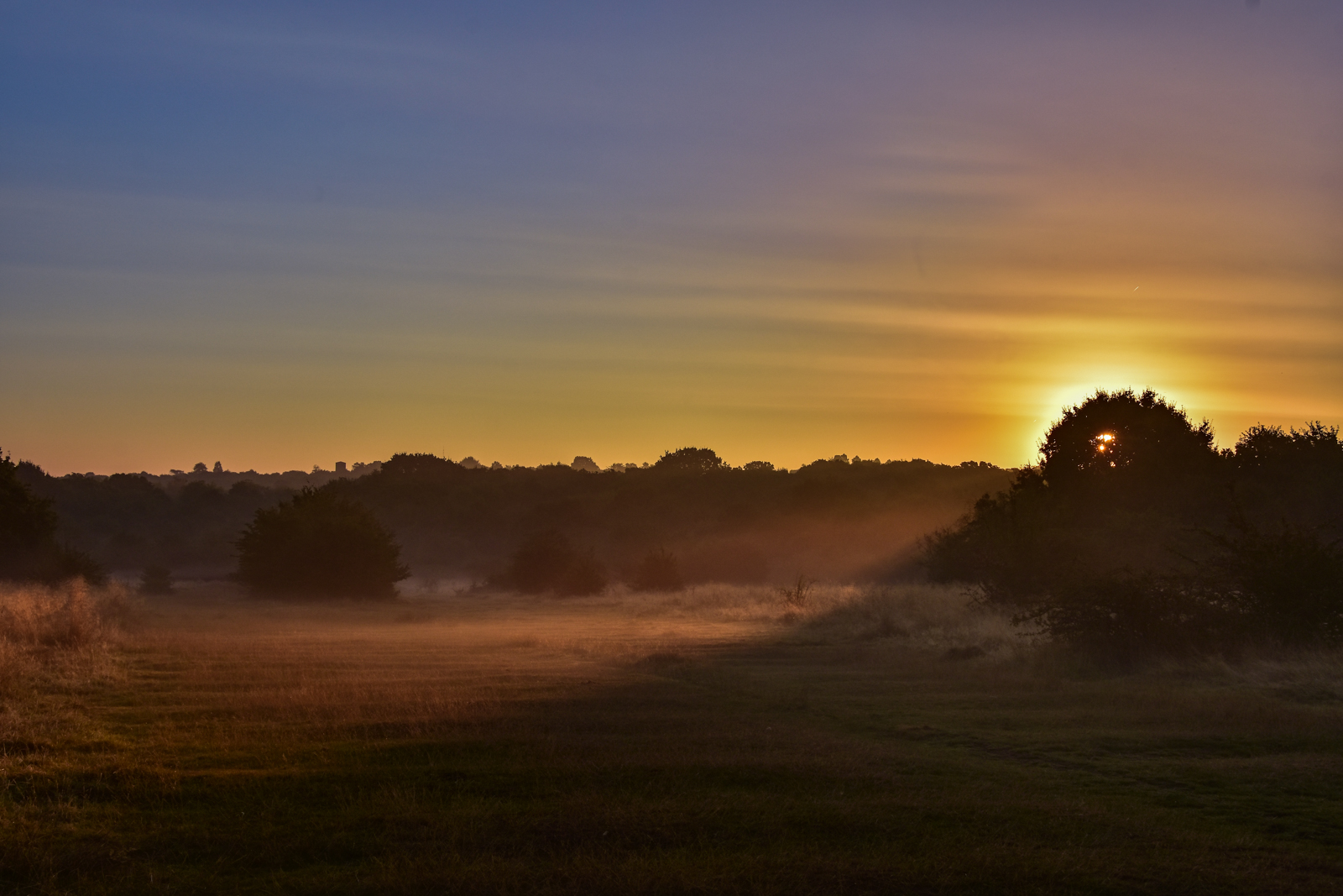 20160908_walthamforest_EppingForest_Sunrise-2