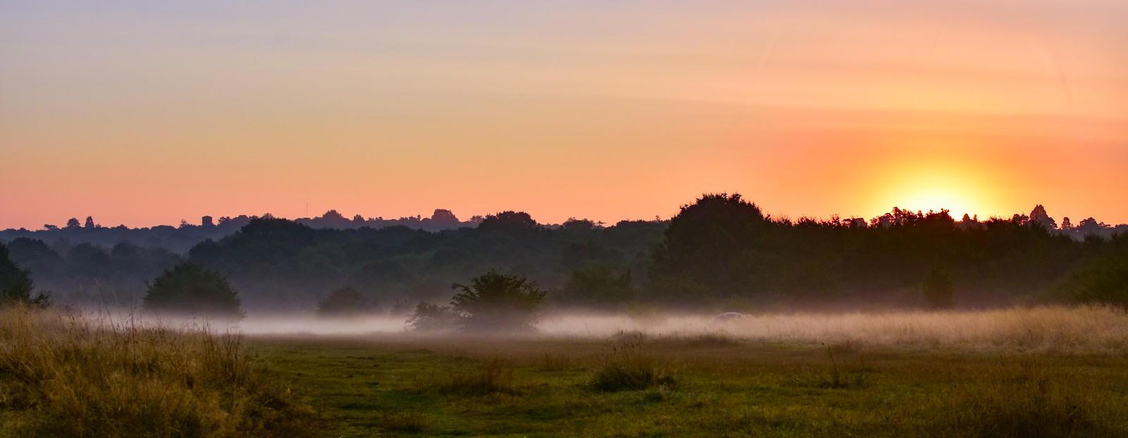 20160908_walthamforest_EppingForest_sunrise