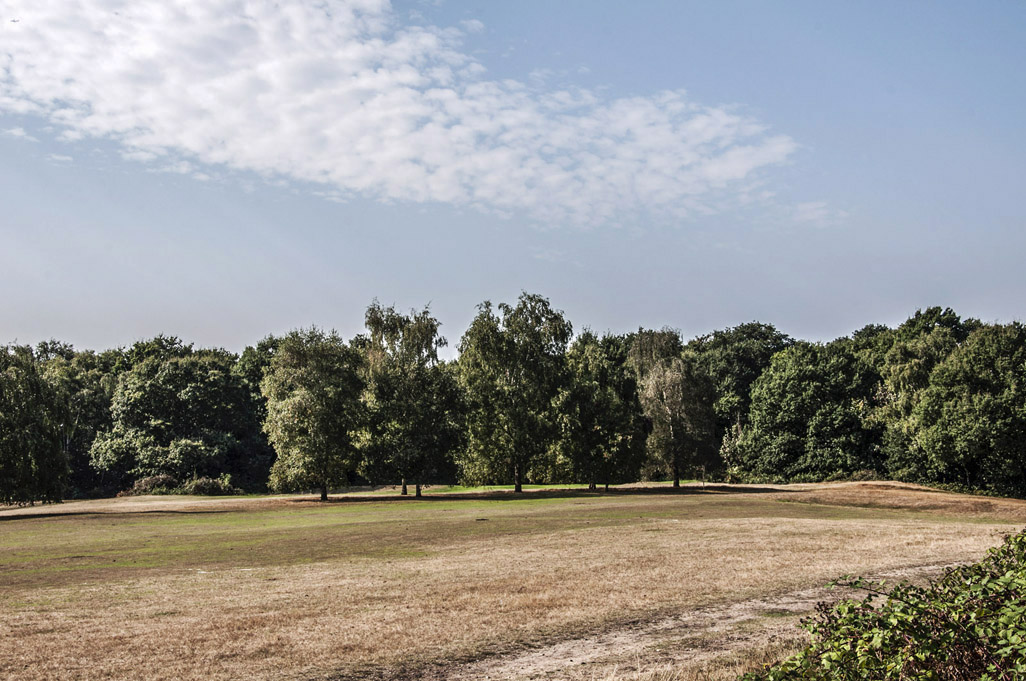 20160914_Merton_-Wimbledon-Common_Wimbledon-Common-_DSC2945