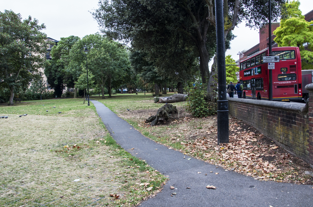 20160917_Lambeth_Rush-Common_-Rush-Common-_Common-along-Brixton-Hill