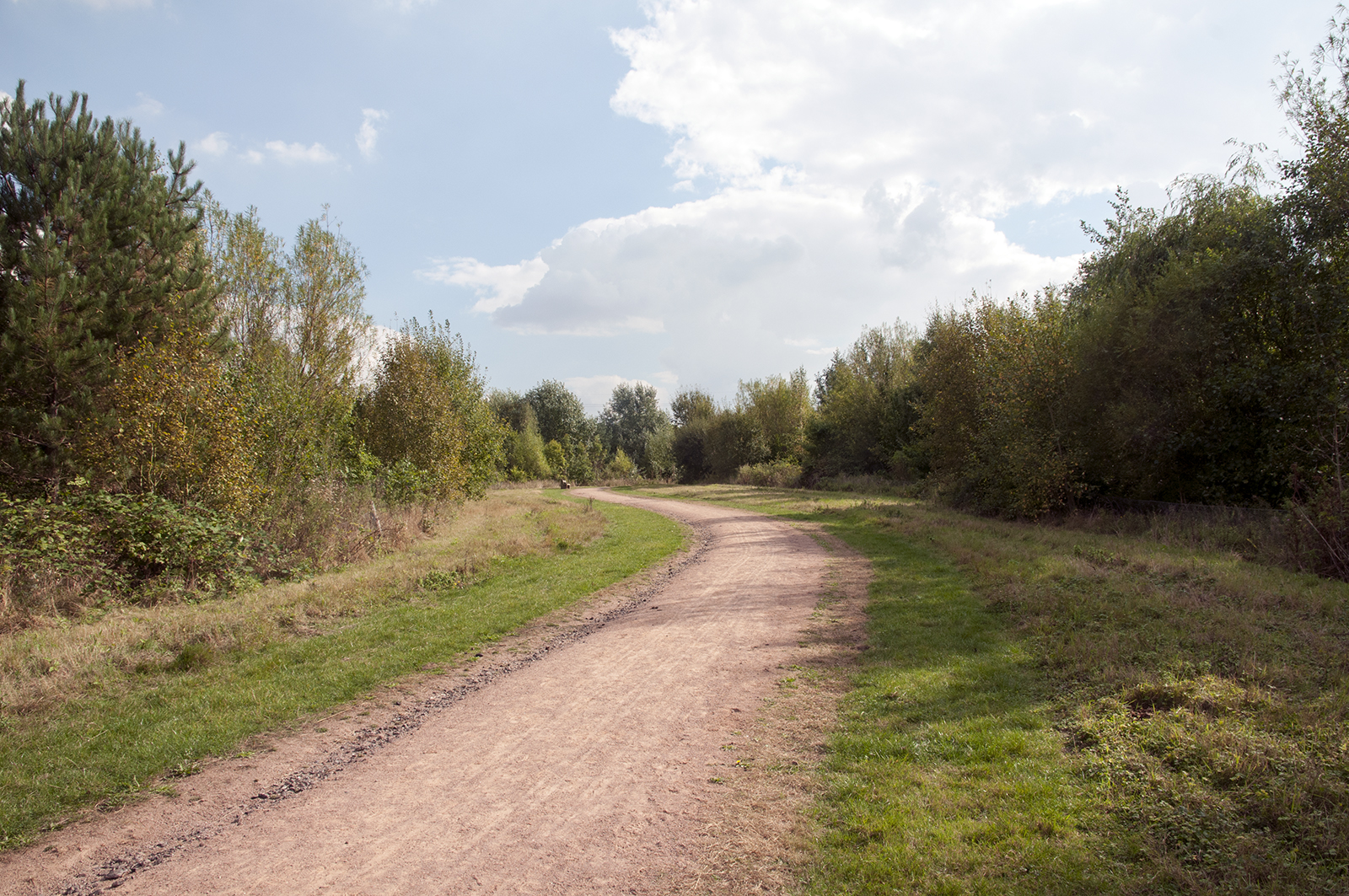 20160921-Havering-Tylers-Common-Autumn-All-purpose-path-DSC_8652