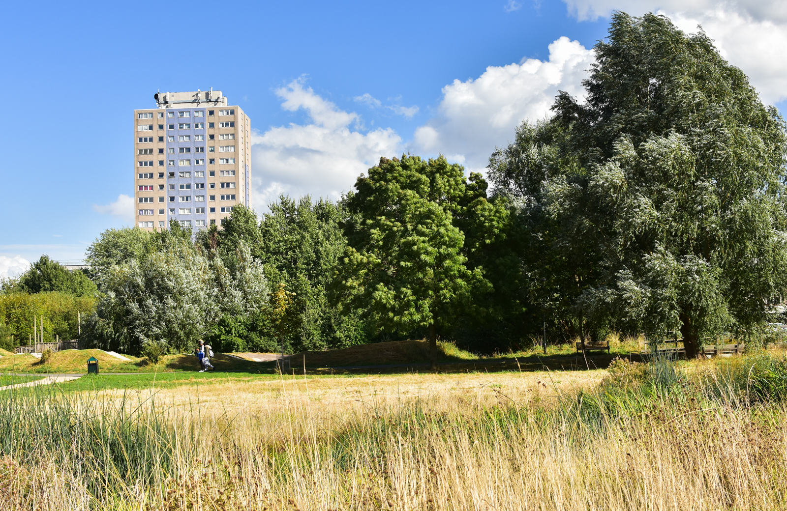 20160925_Haringey_LordshipRecreationGround_Broadwaterfarm