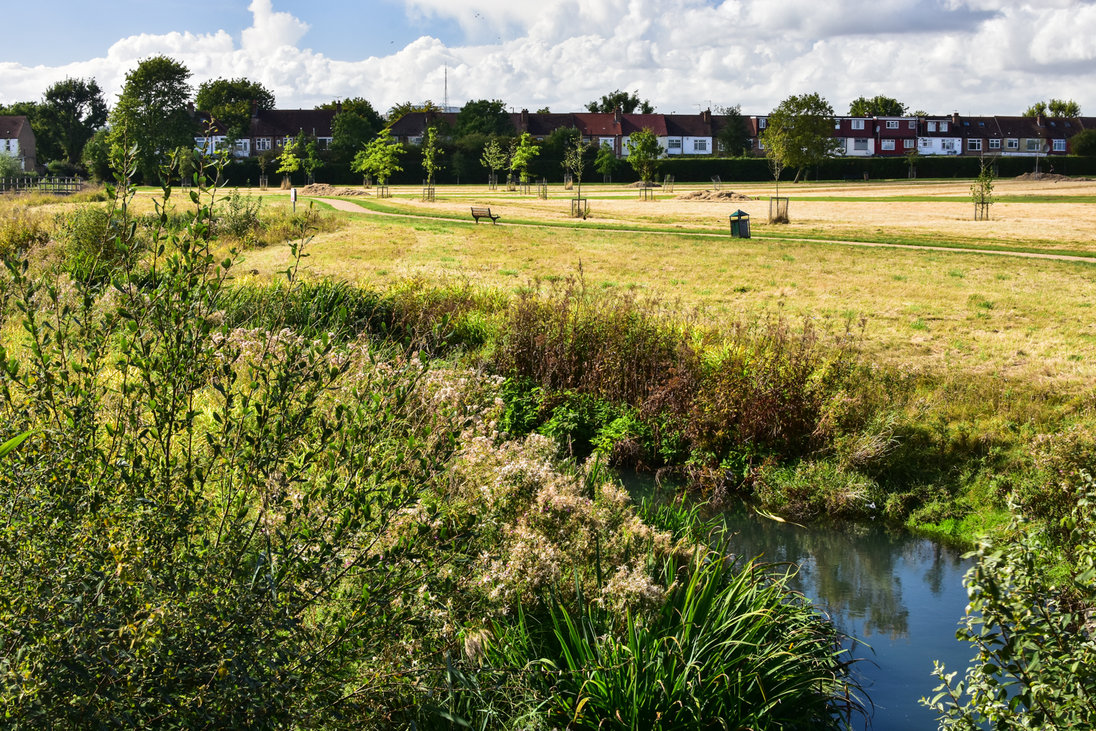 20160925_Haringey_LordshipRecreationGround_MoselleRiver