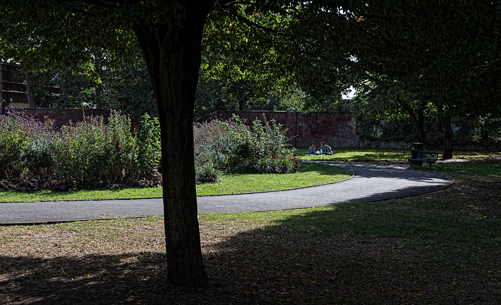 Faraday-Gardens-Southwark-DSP0920