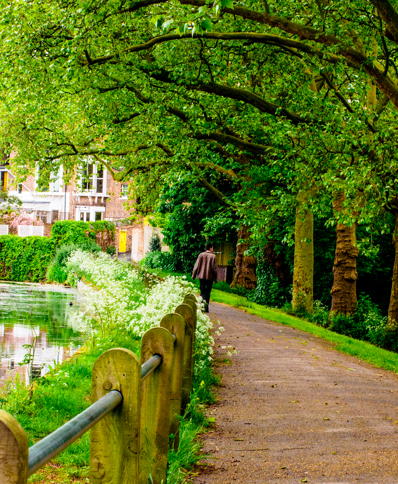 Hampstead-Heath_Leading-Lines