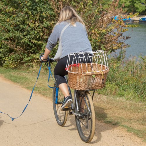 cyclist-and-dog-thames-path