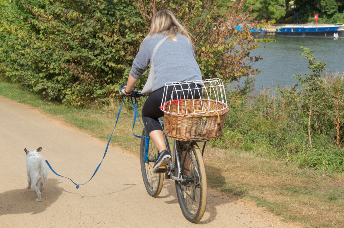 cyclist-and-dog-thames-path