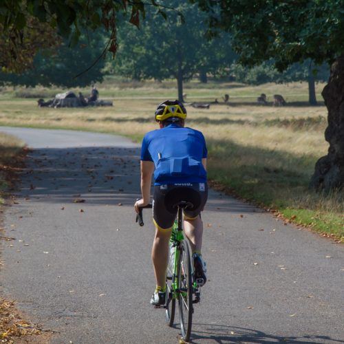 cyclist-in-richmond-park