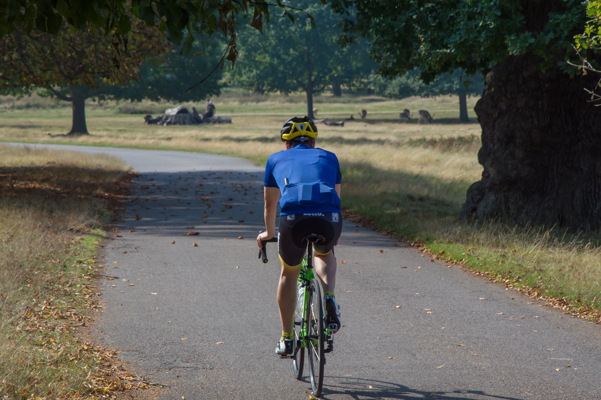 cyclist-in-richmond-park