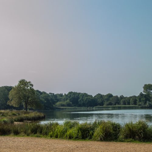 lake-in-richmond-park