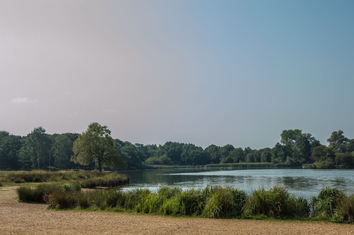 lake-in-richmond-park