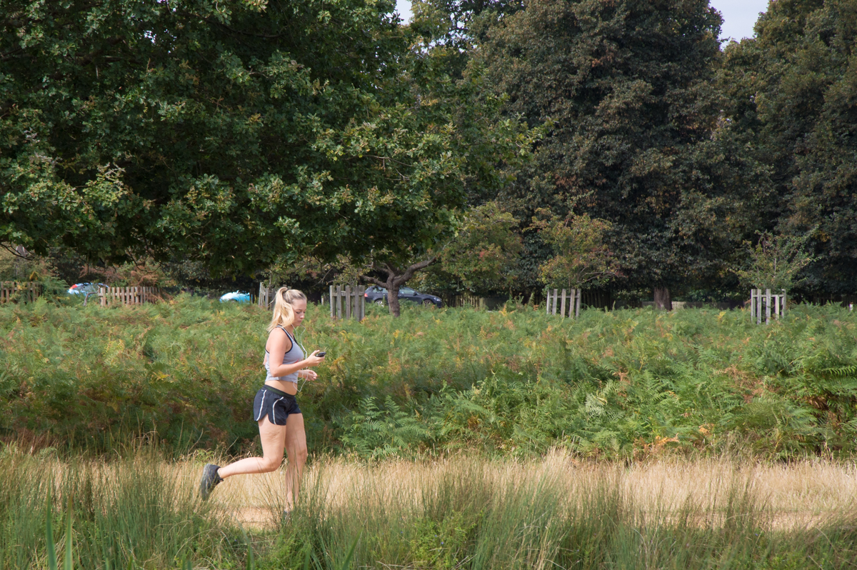 runner-bushy-park